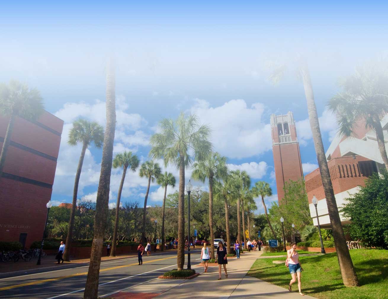 College campus with sidewalks, palm trees and large brick buildings