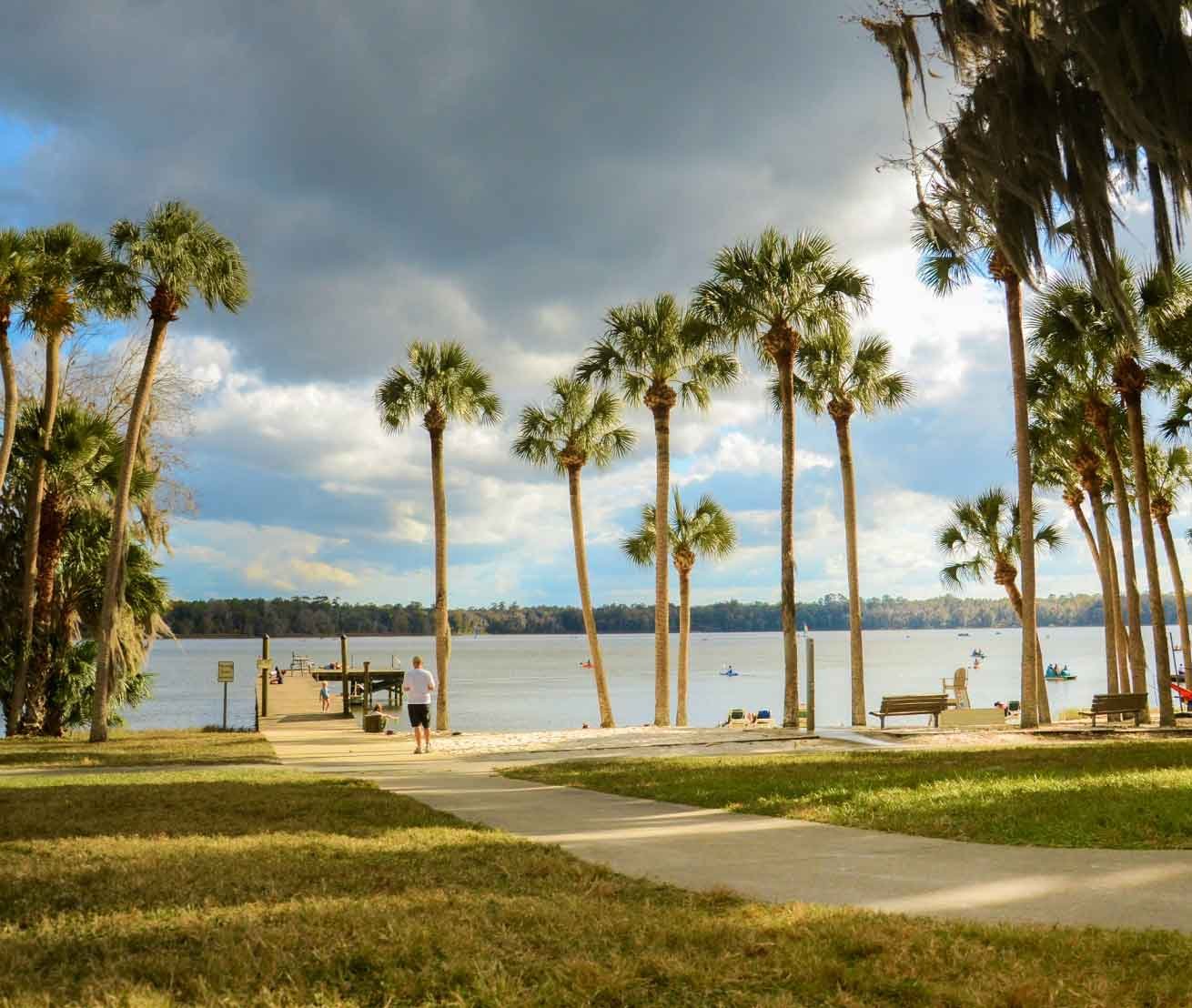 beautiful lake and palm trees